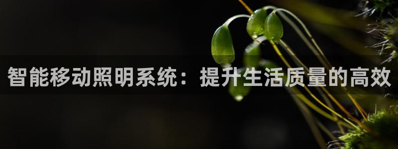 智能移动照明系统:提升生活质量的高效