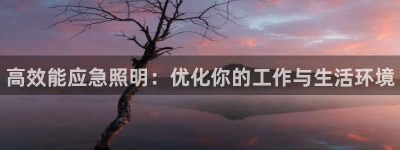 高效能应急照明:优化你的工作与生活环境